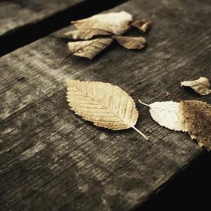 柳菁菁80萃专辑
